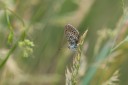 Filename=180609_bg_aldomirovtsi_marsh_042.jpg
Filesize=387KiB
Dimensions=1920x1280
Date added=Jun 25, 2018 180609_bg_aldomirovtsi_marsh_042.jpg