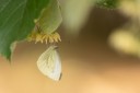 Filename=180609_bg_sofia_02.jpg
Filesize=334KiB
Dimensions=1920x1280
Date added=Jun 25, 2018 180609_bg_sofia_02.jpg