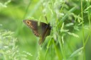 Filename=180610_bg_gubesh_komshtitsa_064.jpg
Filesize=473KiB
Dimensions=1920x1280
Date added=Jul 20, 2018 180610_bg_gubesh_komshtitsa_064.jpg
