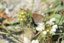 Filename=180611_bg_cheapanhill_023.jpg
Filesize=353KiB
Dimensions=1920x1280
Date added=Dec 31, 2018 180611_bg_cheapanhill_023.jpg