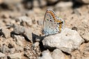 Filename=180611_bg_cheapanhill_072.jpg
Filesize=454KiB
Dimensions=1920x1280
Date added=Dec 31, 2018 180611_bg_cheapanhill_072.jpg