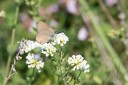 Filename=180611_bg_cheapanhill_082.jpg
Filesize=368KiB
Dimensions=1920x1280
Date added=Dec 31, 2018 180611_bg_cheapanhill_082.jpg