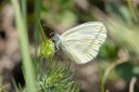 Filename=180611_bg_cheapanhill_089.jpg
Filesize=304KiB
Dimensions=1920x1280
Date added=Dec 31, 2018 180611_bg_cheapanhill_089.jpg