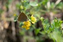 Filename=180611_bg_cheapanhill_090.jpg
Filesize=321KiB
Dimensions=1920x1280
Date added=Dec 31, 2018 180611_bg_cheapanhill_090.jpg