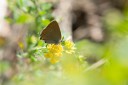 Filename=180611_bg_cheapanhill_091.jpg
Filesize=266KiB
Dimensions=1920x1280
Date added=Dec 31, 2018 180611_bg_cheapanhill_091.jpg