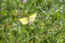 Filename=180611_bg_cheapanhill_097.jpg
Filesize=369KiB
Dimensions=1920x1280
Date added=Dec 31, 2018 180611_bg_cheapanhill_097.jpg