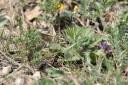 Filename=180611_bg_cheapanhill_104.jpg
Filesize=605KiB
Dimensions=1920x1280
Date added=Dec 31, 2018 180611_bg_cheapanhill_104.jpg