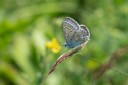 Filename=180611_bg_cheapanhill_107.jpg
Filesize=294KiB
Dimensions=1920x1280
Date added=Dec 31, 2018 180611_bg_cheapanhill_107.jpg