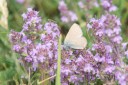 Filename=180611_bg_ponor_015.jpg
Filesize=433KiB
Dimensions=1920x1280
Date added=Dec 31, 2018 180611_bg_ponor_015.jpg