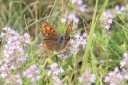 Filename=180611_bg_ponor_020.jpg
Filesize=466KiB
Dimensions=1920x1280
Date added=Dec 31, 2018 180611_bg_ponor_020.jpg