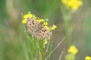 Filename=180611_bg_ponor_039.jpg
Filesize=467KiB
Dimensions=1920x1280
Date added=Dec 31, 2018 180611_bg_ponor_039.jpg