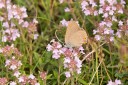 Filename=180611_bg_ponor_047.jpg
Filesize=624KiB
Dimensions=1920x1280
Date added=Dec 31, 2018 180611_bg_ponor_047.jpg