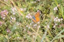 Filename=180611_bg_ponor_053.jpg
Filesize=582KiB
Dimensions=1920x1280
Date added=Dec 31, 2018 180611_bg_ponor_053.jpg