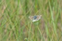Filename=180611_bg_ponor_059.jpg
Filesize=380KiB
Dimensions=1920x1280
Date added=Dec 31, 2018 180611_bg_ponor_059.jpg