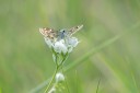 Filename=180611_bg_ponor_060.jpg
Filesize=262KiB
Dimensions=1920x1280
Date added=Dec 31, 2018 180611_bg_ponor_060.jpg