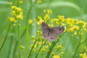 180704_jp_hokkaido_025.jpg