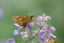 180704_jp_hokkaido_046.jpg