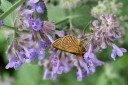 180704_jp_hokkaido_050.jpg