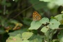 Filename=180811_cn_jiangxi_026.jpg
Filesize=550KiB
Dimensions=1920x1280
Date added=Aug 14, 2018 180811_cn_jiangxi_026.jpg