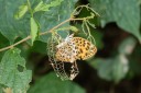 Filename=180811_cn_jiangxi_031.jpg
Filesize=703KiB
Dimensions=1920x1280
Date added=Aug 14, 2018 180811_cn_jiangxi_031.jpg