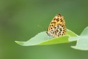 Filename=180811_cn_jiangxi_034.jpg
Filesize=613KiB
Dimensions=1920x1280
Date added=Aug 14, 2018 180811_cn_jiangxi_034.jpg