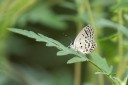 Filename=180812_cn_jiangxi_002.jpg
Filesize=728KiB
Dimensions=1920x1280
Date added=Aug 14, 2018 180812_cn_jiangxi_002.jpg