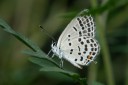 Filename=180812_cn_jiangxi_003.jpg
Filesize=565KiB
Dimensions=1920x1280
Date added=Aug 14, 2018 180812_cn_jiangxi_003.jpg