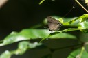 Filename=190120_aus_noosa_009.jpg
Filesize=389KiB
Dimensions=1920x1280
Date added=Feb 26, 2019 190120_aus_noosa_009.jpg