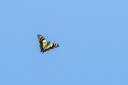 Filename=190123_aus_kronbittops_015.jpg
Filesize=586KiB
Dimensions=1920x1280
Date added=Feb 24, 2019 190123_aus_kronbittops_015.jpg