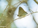 Filename=190124_aus_rockhampton_001.jpg
Filesize=519KiB
Dimensions=1920x1440
Date added=Feb 20, 2019 190124_aus_rockhampton_001.jpg
