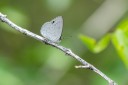 Filename=190124_aus_rockhampton_017.jpg
Filesize=452KiB
Dimensions=1920x1280
Date added=Feb 20, 2019 190124_aus_rockhampton_017.jpg