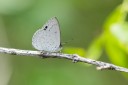 Filename=190124_aus_rockhampton_018.jpg
Filesize=432KiB
Dimensions=1920x1280
Date added=Feb 20, 2019 190124_aus_rockhampton_018.jpg