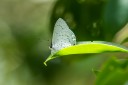 Filename=190124_aus_rockhampton_020.jpg
Filesize=468KiB
Dimensions=1920x1280
Date added=Feb 20, 2019 190124_aus_rockhampton_020.jpg