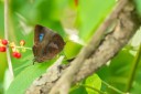 Filename=190124_aus_rockhampton_055.jpg
Filesize=649KiB
Dimensions=1920x1280
Date added=Feb 20, 2019 190124_aus_rockhampton_055.jpg