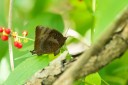 Filename=190124_aus_rockhampton_056.jpg
Filesize=734KiB
Dimensions=1920x1280
Date added=Feb 20, 2019 190124_aus_rockhampton_056.jpg