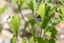 Filename=190124_aus_rockhampton_059.jpg
Filesize=412KiB
Dimensions=1920x1280
Date added=Feb 20, 2019 190124_aus_rockhampton_059.jpg