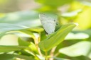 Filename=190124_aus_rockhampton_061.jpg
Filesize=377KiB
Dimensions=1920x1280
Date added=Feb 20, 2019 190124_aus_rockhampton_061.jpg