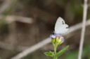 Filename=190125_aus_bulburin_084.jpg
Filesize=432KiB
Dimensions=1920x1280
Date added=Feb 19, 2019 190125_aus_bulburin_084.jpg