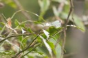 Filename=190128_aus_lamington_011.jpg
Filesize=605KiB
Dimensions=1920x1280
Date added=Jan 30, 2019 190128_aus_lamington_011.jpg