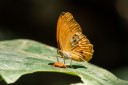 Filename=190204_gh_atewa_180.jpg
Filesize=477KiB
Dimensions=1920x1280
Date added=Apr 10, 2019 190204_gh_atewa_180.jpg