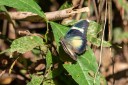 Filename=190204_gh_atewa_281.jpg
Filesize=573KiB
Dimensions=1920x1280
Date added=Apr 11, 2019 190204_gh_atewa_281.jpg