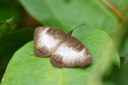Filename=190205_gh_atewa_018.jpg
Filesize=354KiB
Dimensions=1920x1280
Date added=Apr 16, 2019 190205_gh_atewa_018.jpg