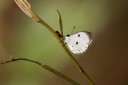Filename=190205_gh_atewa_261.jpg
Filesize=539KiB
Dimensions=1920x1280
Date added=Apr 15, 2019 190205_gh_atewa_261.jpg