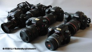 My Camera Collection